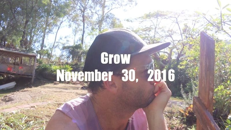 Growth Growth